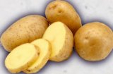Krumpir mladi 1 kg